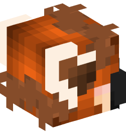 Minecraft head — People