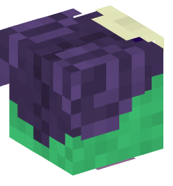 Minecraft head — People