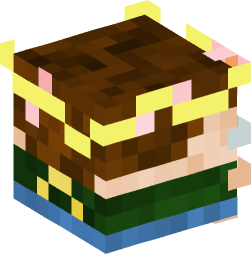 Minecraft head — Decor