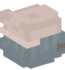 Minecraft head — People