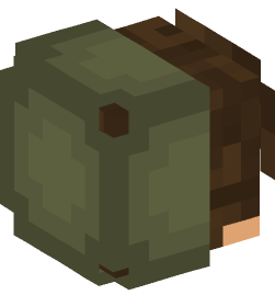 Minecraft head — People