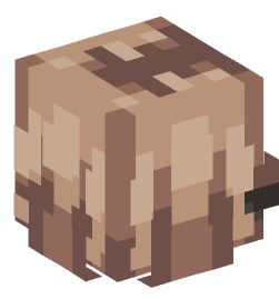 Minecraft head — People