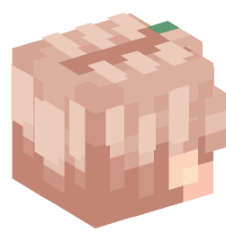 Minecraft head — People