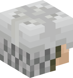 Minecraft head — People