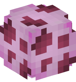 Minecraft head — Decor