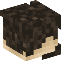 Minecraft head — People