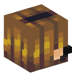 Minecraft head — People