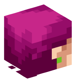 Minecraft head — People