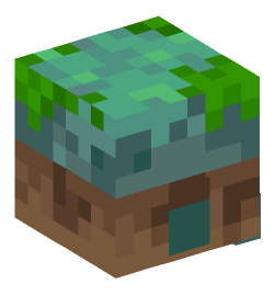 Minecraft head — Decor