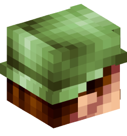 Minecraft head — People