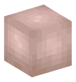 Minecraft head — Creatures