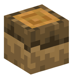 Minecraft head — Blocks