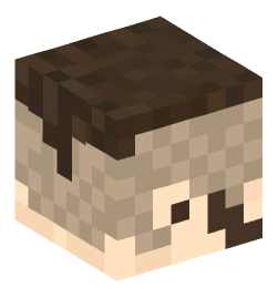 Minecraft head — People