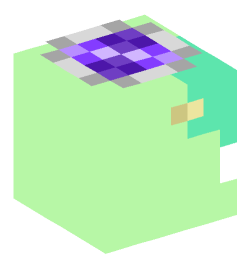 Minecraft head — Creatures