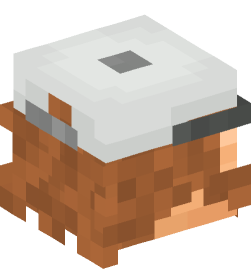 Minecraft head — People