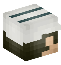 Minecraft head — People