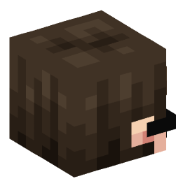 Minecraft head — People