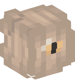 Minecraft head — People