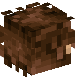 Minecraft head — People