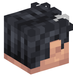 Minecraft head — People