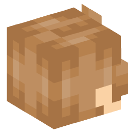 Minecraft head — People