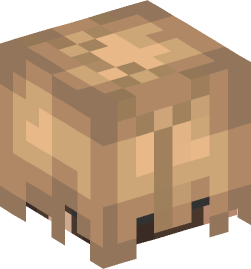 Minecraft head — People