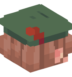 Minecraft head — People