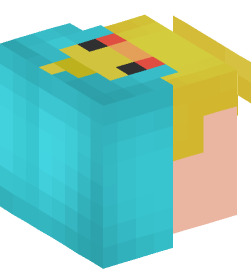 Minecraft head — People