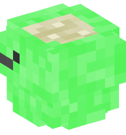 Minecraft head — Decor