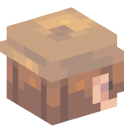 Minecraft head — People