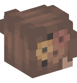 Minecraft head — People