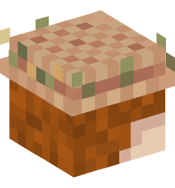 Minecraft head — People