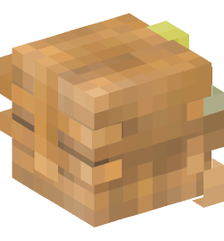 Minecraft head — People