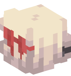 Minecraft head — People