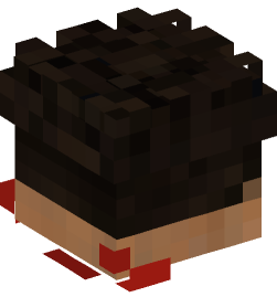 Minecraft head — People