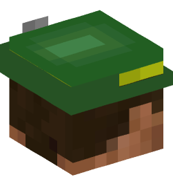 Minecraft head — People