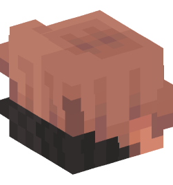 Minecraft head — People