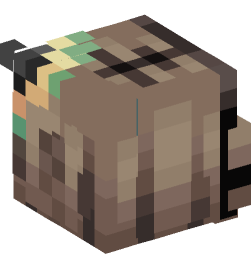 Minecraft head — People