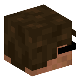 Minecraft head — People