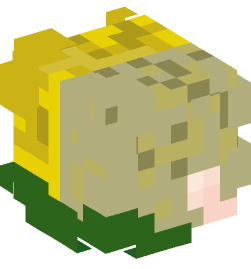 Minecraft head — People