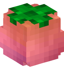 Minecraft head — Plants