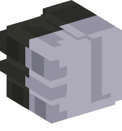 Minecraft head — Decor