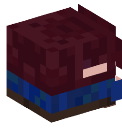 Minecraft head — Decor