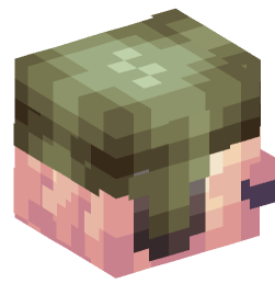 Minecraft head — People