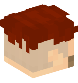 Minecraft head — People