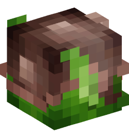 Minecraft head — Creatures