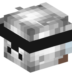 Minecraft head — People