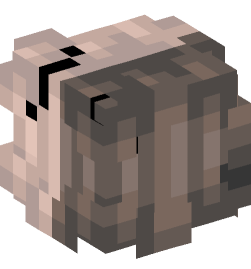 Minecraft head — People