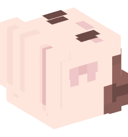 Minecraft head — People