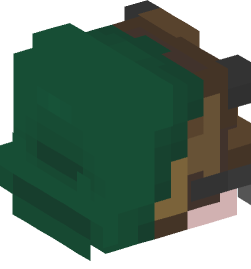 Minecraft head — People